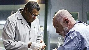 Fotograma del episodio 13: Fritura y Frescor Mentolado