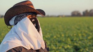 Fotograma del episodio 11: Episodio 11