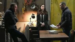 Fotograma del episodio 9: Somos uno