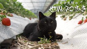 Fotograma del episodio 155: Episodio 155