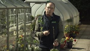 Fotograma del episodio 3: Episodio 3