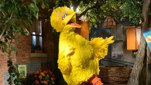 Fotograma del episodio 15: Episodio 15