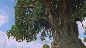 Fotograma del episodio 5: Episodio 5
