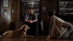 Fotograma del episodio 13: Episodio 13