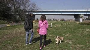 Fotograma del episodio 11: Episodio 11