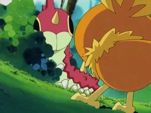 Fotograma del episodio 14: Atrapen Un Wurmple