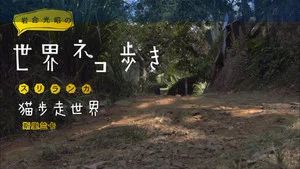 Fotograma del episodio 44: Episodio 44
