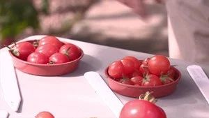 Fotograma del episodio 20: Episodio 20