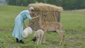 Fotograma del episodio 5: Episodio 5