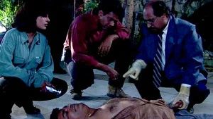 Fotograma del episodio 43: Episodio 43