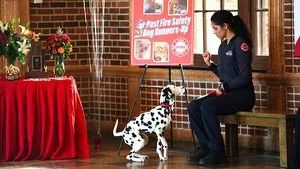 Fotograma del episodio 11: Episodio 11