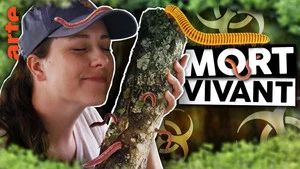 Fotograma del episodio 12: Episodio 12