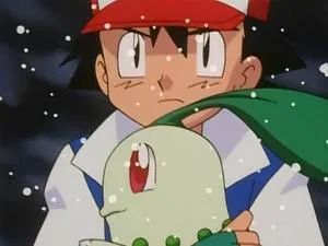 Fotograma del episodio 10: El Rescate De Chikorita