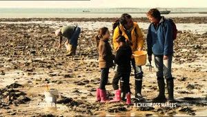 Fotograma del episodio 512: Episodio 512