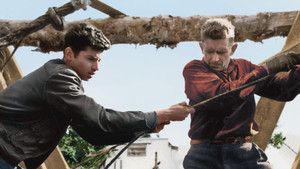 Fotograma del episodio 17: Episodio 17