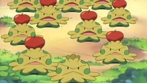 Fotograma del episodio 42: Una Escaramuza De Shroomish