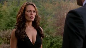 Fotograma del episodio 9: Oh, Brother