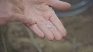 Fotograma del episodio 13: Episodio 13