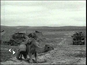 Fotograma del episodio 227: Episodio 227