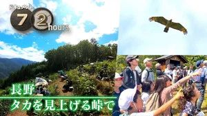Fotograma del episodio 35: Episodio 35