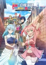 Yuusha Party o Tsuihou Sareta Shiro Madoushi