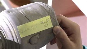 Fotograma del episodio 11: El Pasado Unido