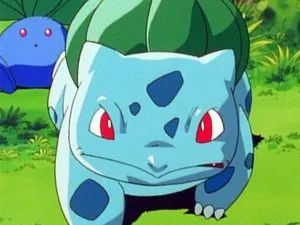 Fotograma del episodio 10: Bulbasaur Y La Aldea Secreta