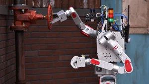 Fotograma del episodio 17: Episodio 17