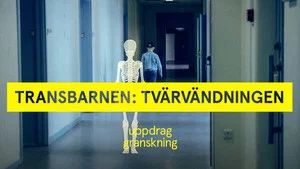 Fotograma del episodio 8: Episodio 8