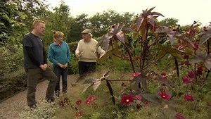 Fotograma del episodio 17: Episodio 17