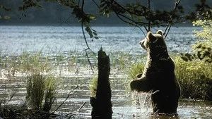 Fotograma del episodio 8: Episodio 8