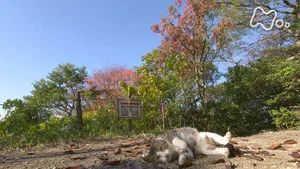Fotograma del episodio 90: Episodio 90
