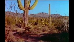 Fotograma del episodio 15: Episodio 15