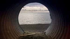 Fotograma del episodio 39: Episodio 39