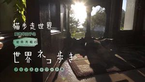 Fotograma del episodio 54: Episodio 54