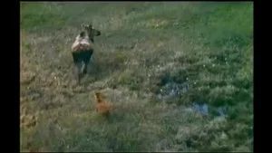 Fotograma del episodio 2: Episodio 2