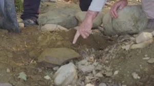 Fotograma del episodio 14: Episodio 14