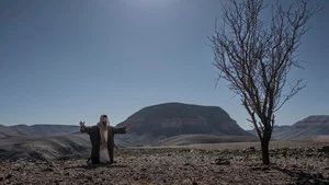 Fotograma del episodio 14: Episodio 14