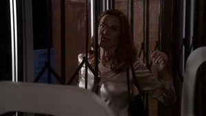 Fotograma del episodio 17: Episodio 17