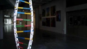 Fotograma del episodio 4: Episodio 4