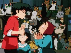 Fotograma del episodio 20: ¿En verdad no te gustan los gatos?