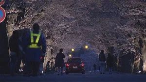 Fotograma del episodio 14: Episodio 14