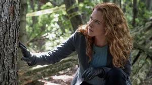 Fotograma del episodio 1: Episodio 1
