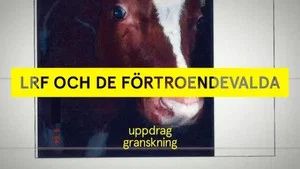 Fotograma del episodio 2: Episodio 2