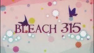 Fotograma del episodio 315: ¡El amigo de Yachiru! ¡El shinigami de la justicia aparece!