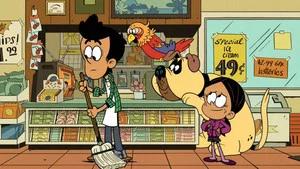 Fotograma del episodio 5: Episodio 5