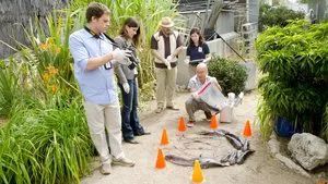 Fotograma del episodio 4: Harina de otro costal