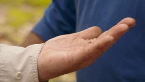 Fotograma del episodio 8: Episodio 8