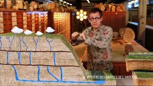 Fotograma del episodio 542: Episodio 542