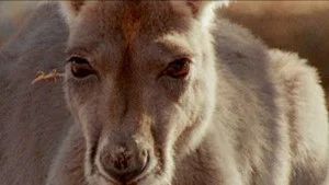 Fotograma del episodio 5: Episodio 5